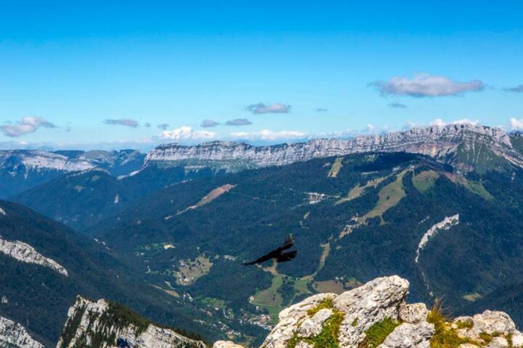 Le Mas Dauphinois Le Grand-Lemps Kültér fotó